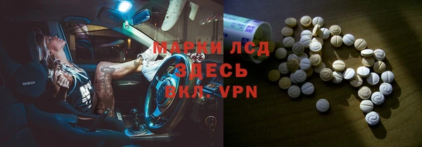 прущие грибы Зерноград